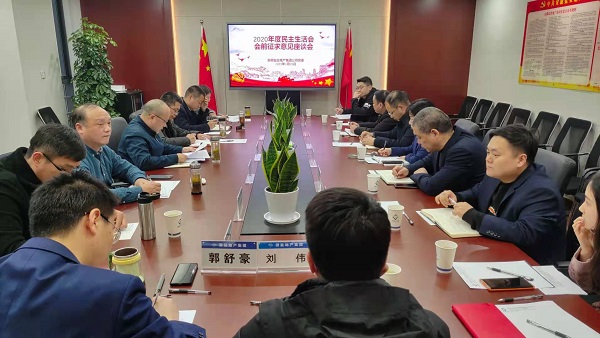 安徽龙8头号玩家地产集团公司党委召开2020年度民主生活会前征求意见座谈会