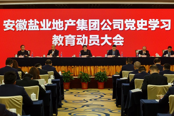 安徽龙8头号玩家地产集团公司召开党史学习教育动员大会