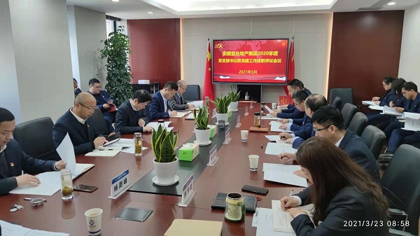安徽龙8头号玩家地产集团公司党委召开2020年度基层党支部书记抓党建工作述职评议会