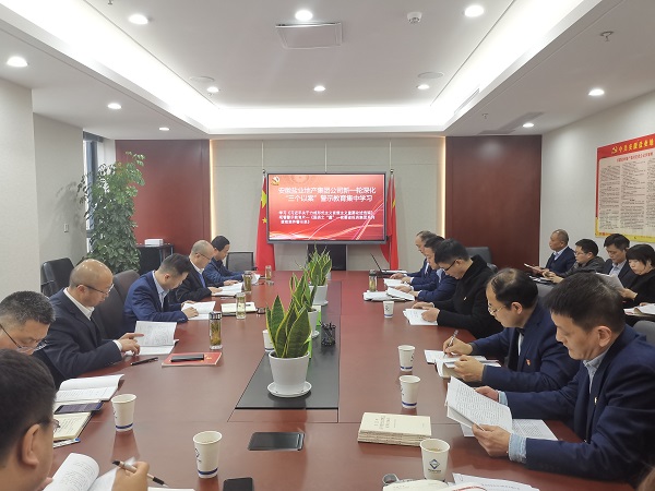 安徽龙8头号玩家地产集团公司开展新一轮深化“三个以案”警示教育集中学习