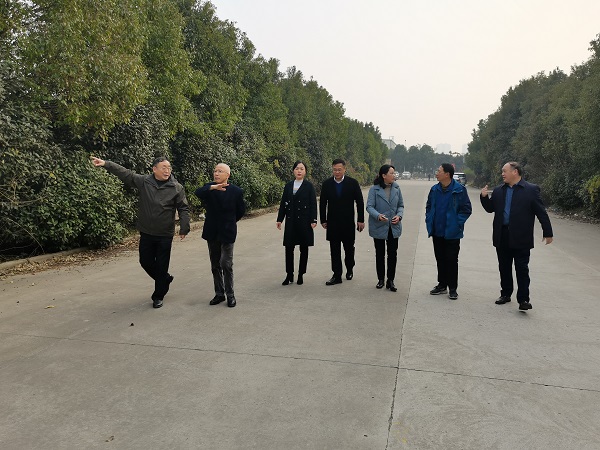 龙8头号玩家(国际)官方网站