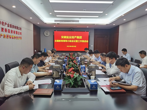 安徽龙8头号玩家地产集团召开学习贯彻习近平新时代中国特色社会主义思想主题教育领导小组会议暨工作推进会