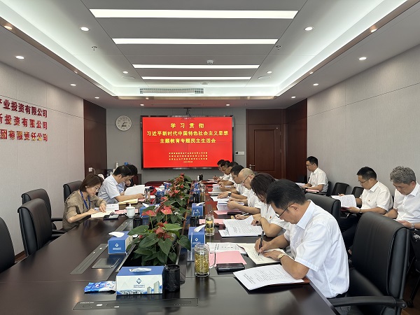 安徽龙8头号玩家地产集团等三家公司党委召开学习贯彻习近平新时代中国特色社会主义思想主题教育专题民主生活会